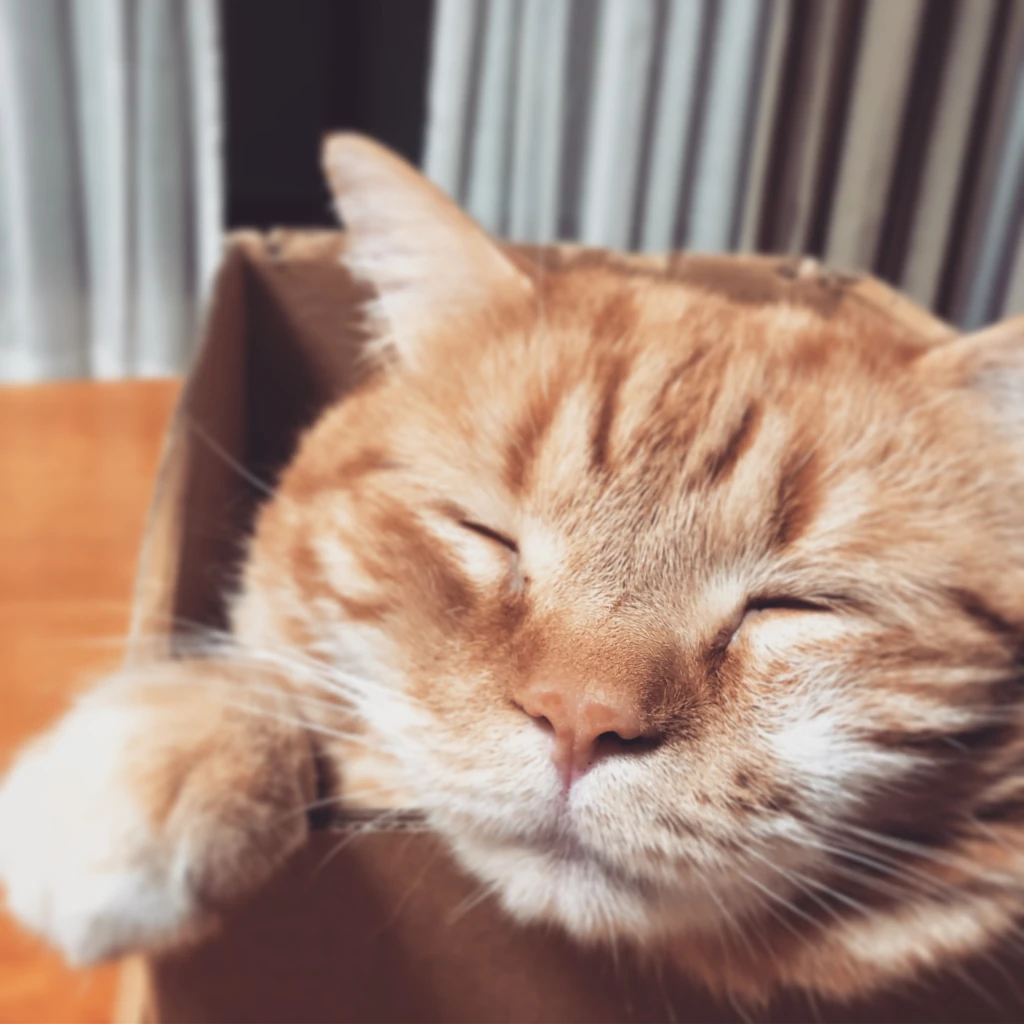 ホームズ