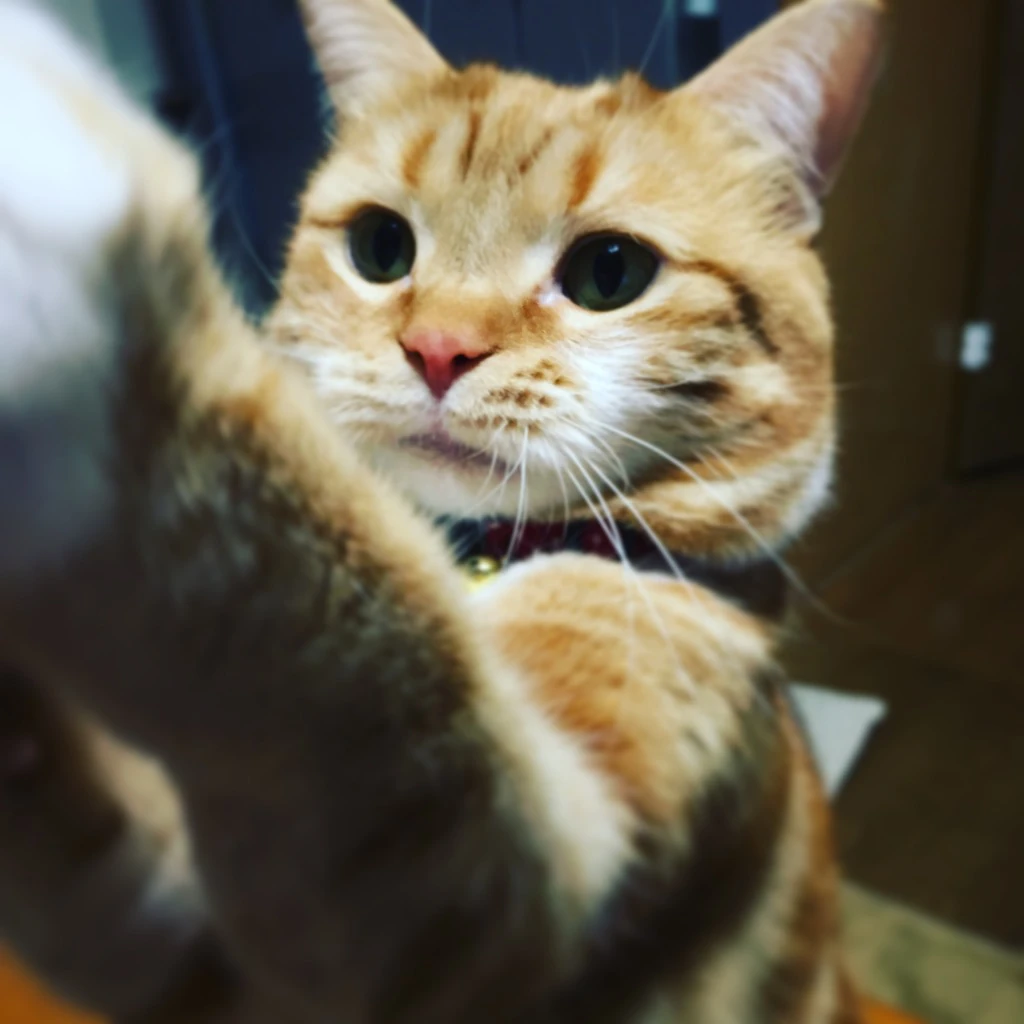 ホームズ